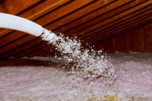 Best Residential Insulation in Anthony, NM