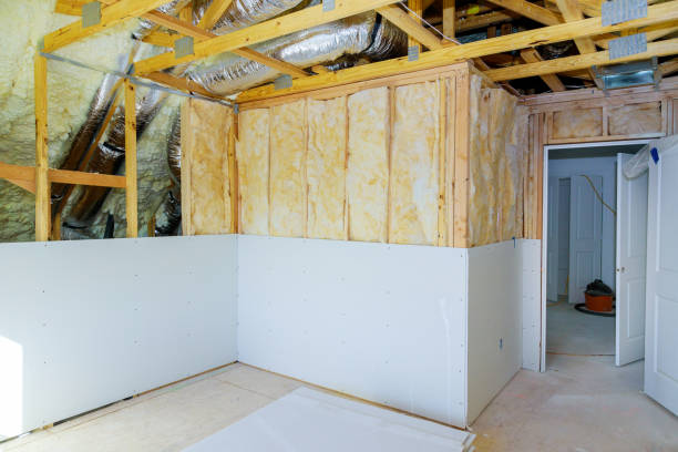 Best Residential Insulation in Anthony, NM